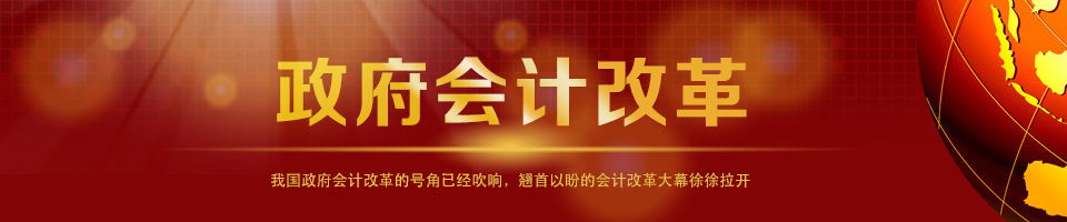 政府会计改革 政府会计改革