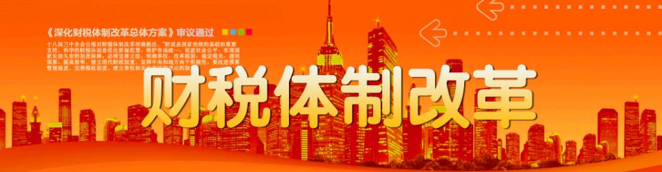 财税体制改革 财税体制改革