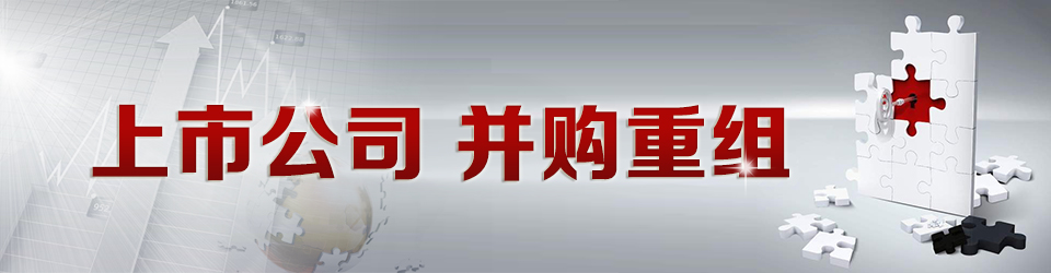 上市公司并购重组专题 上市公司并购重组专题